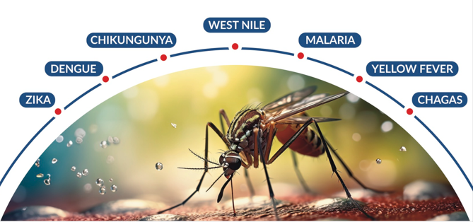 Common Infectious Diseases